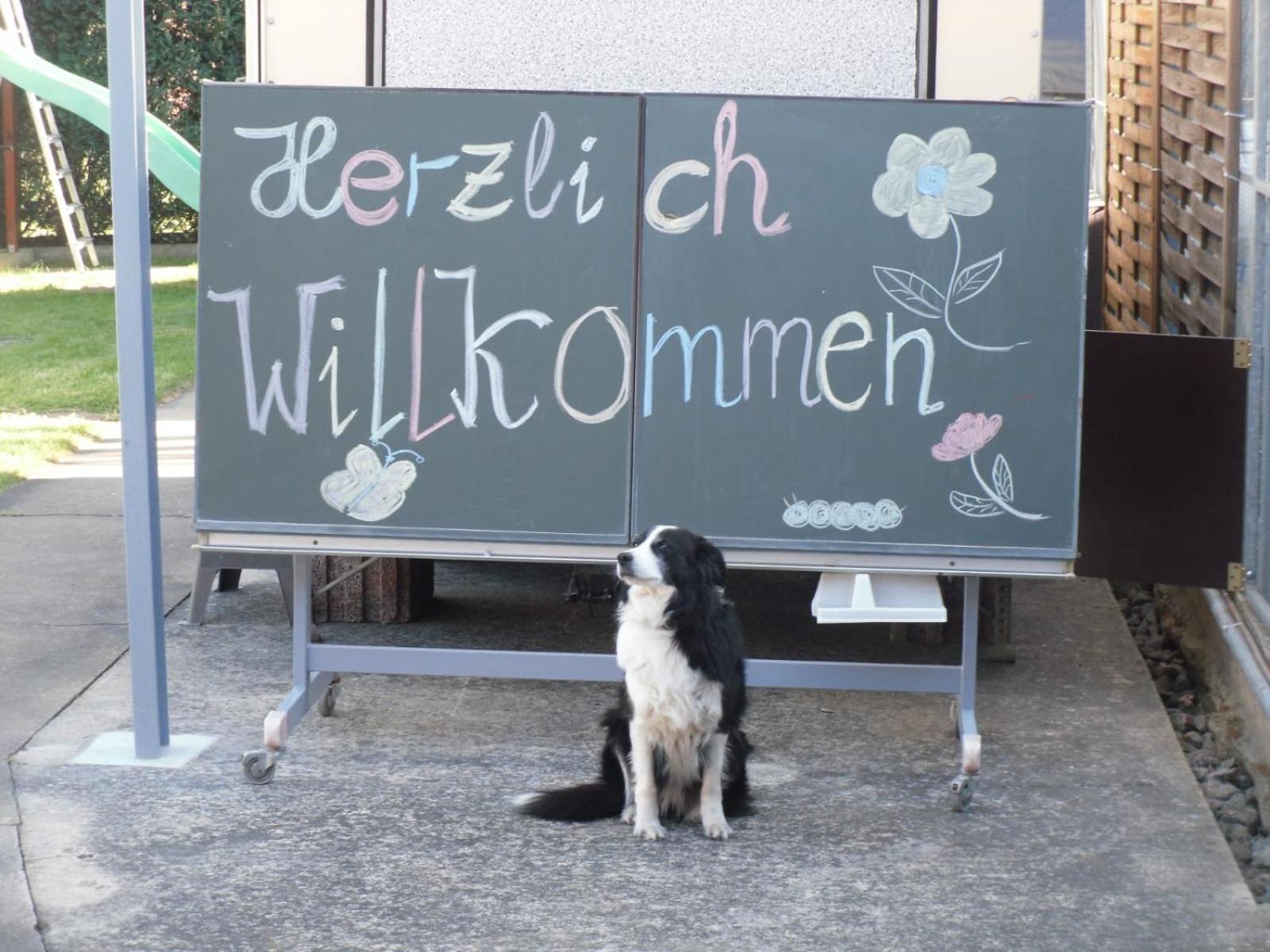 Ferienwohnwagen Rudolf Apartment Coswig  Exterior foto